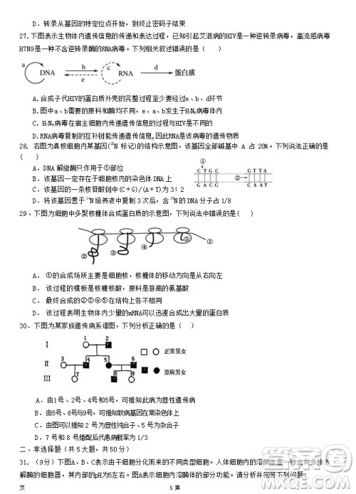 2019届福建省泉州市泉港一中南安市国光中学高三上学期期中联考试题生物答案 2019届福建省泉州市泉港一中南安市国光中学高三上学期期中联考试题生物答案