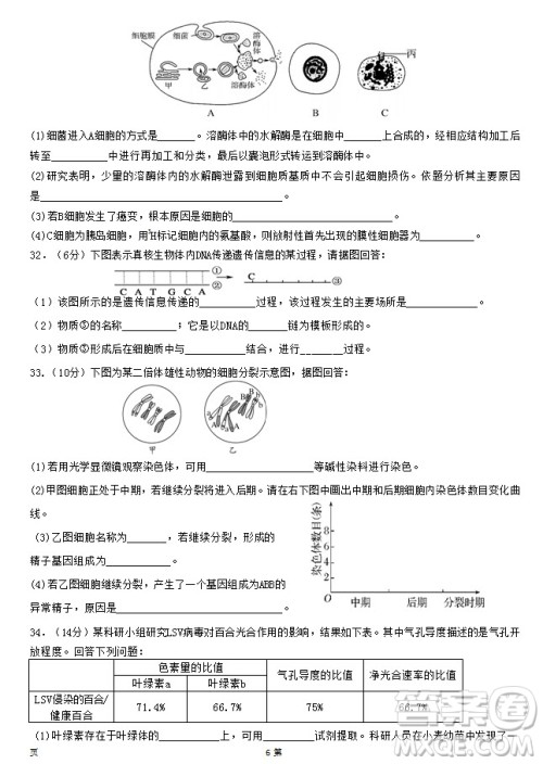 2019届福建省泉州市泉港一中南安市国光中学高三上学期期中联考试题生物答案 2019届福建省泉州市泉港一中南安市国光中学高三上学期期中联考试题生物答案