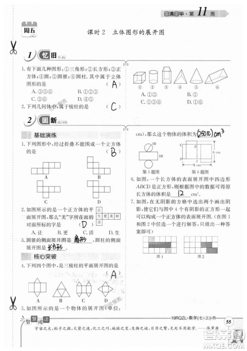 2019新版日清周练七年级数学上册人教版参考答案