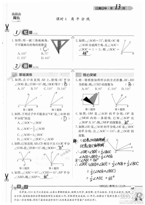 2019新版日清周练七年级数学上册人教版参考答案