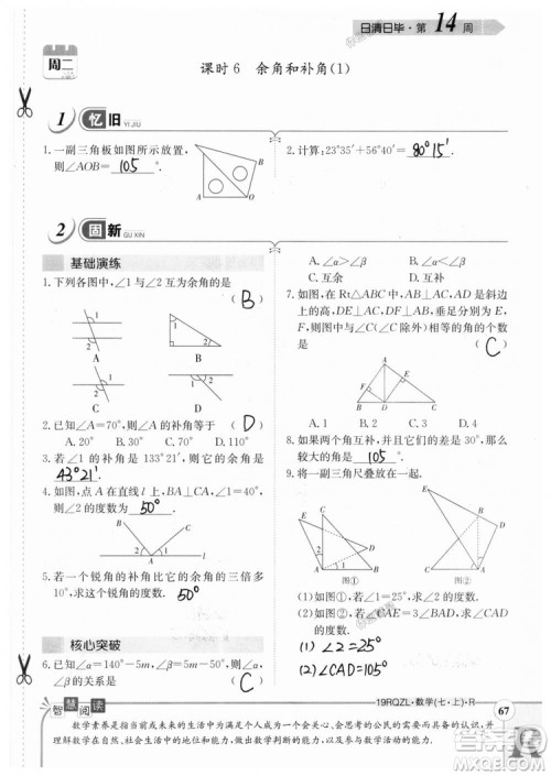 2019新版日清周练七年级数学上册人教版参考答案