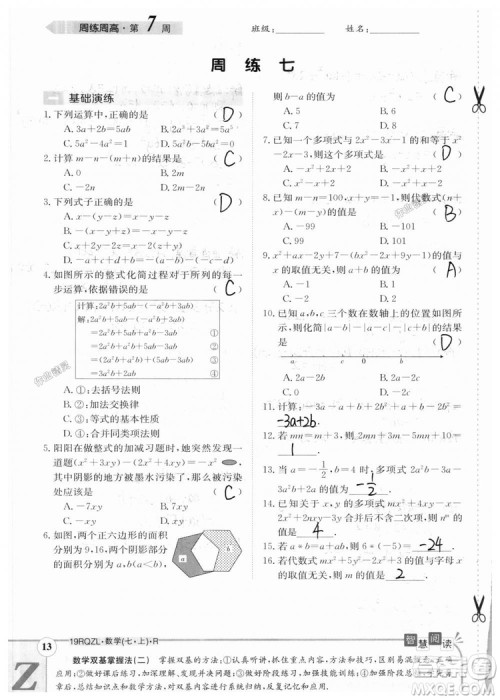 2019新版日清周练七年级数学上册人教版参考答案