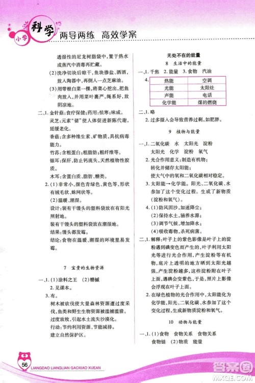 河北人民版2018年新课标两导两练高效学案六年级上册科学答案