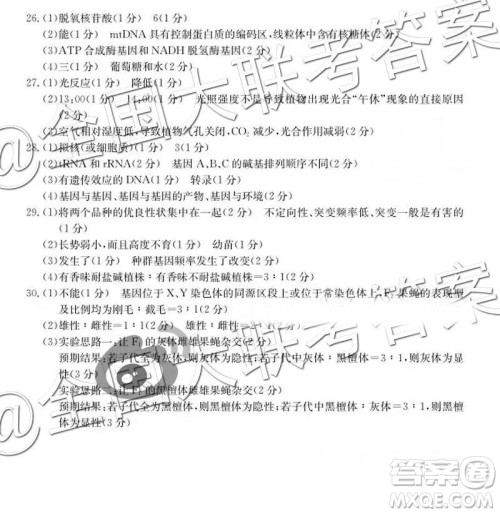 2019届金太阳湖南河北高三11月联考理科综合参考答案 2019届金太阳湖南河北高三11月联考理科综合参考答案