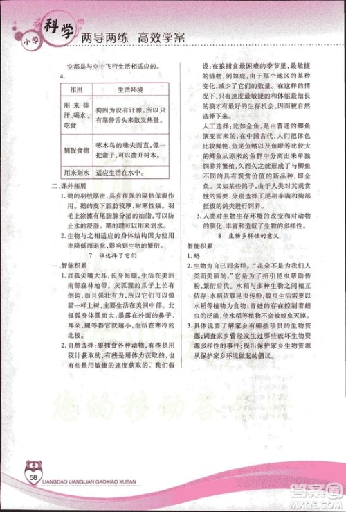 教科版2018年新课标两导两练高效学案六年级上册科学答案