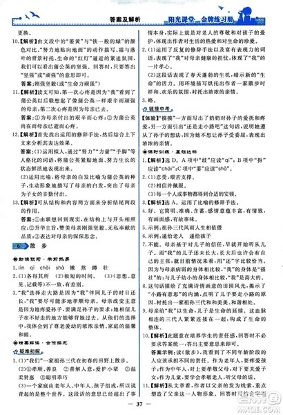 2018秋阳光课堂金牌练习册人教版语文七年级上册答案 2018秋阳光课堂金牌练习册人教版语文七年级上册答案