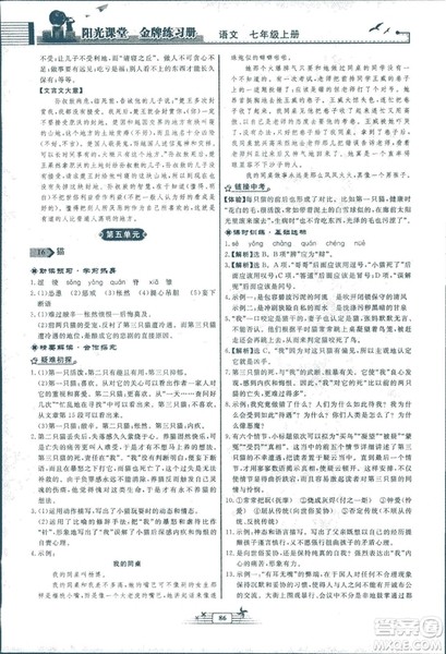 人教版福建专版阳光课堂金牌练习册2018年语文七年级上册答案
