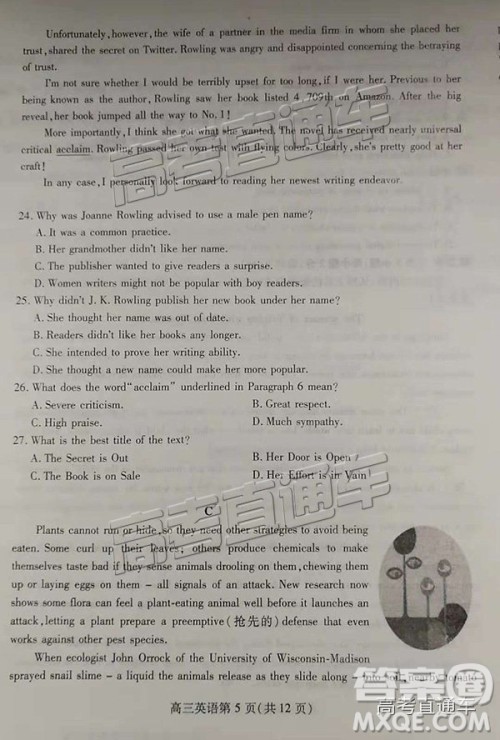 2019届潍坊高三第一学期期中考试英语试题及参考答案 2019届潍坊高三第一学期期中考试英语试题及参考答案