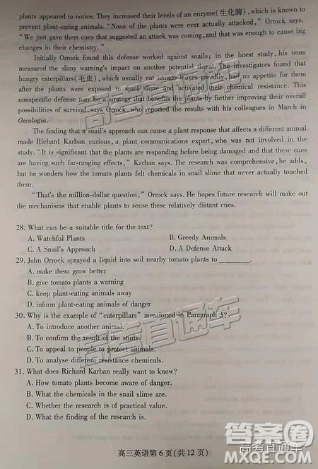 2019届潍坊高三第一学期期中考试英语试题及参考答案 2019届潍坊高三第一学期期中考试英语试题及参考答案