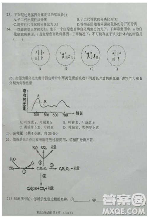 海南省儋州市2019届高三上学期第一次统测生物试题及答案