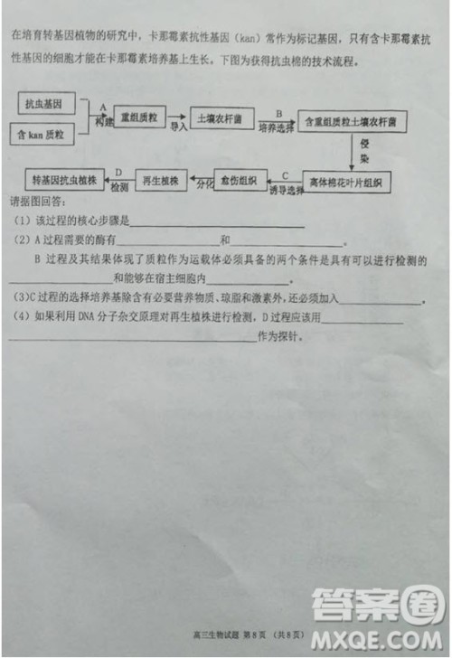 海南省儋州市2019届高三上学期第一次统测生物试题及答案