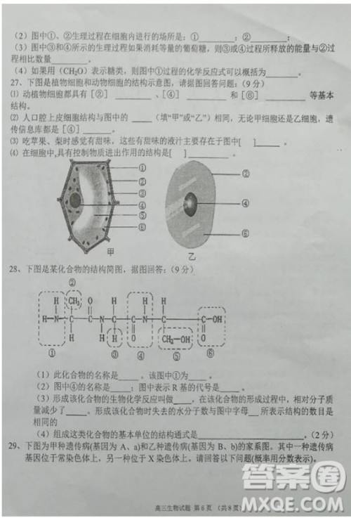 海南省儋州市2019届高三上学期第一次统测生物试题及答案