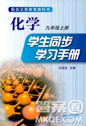 2018版化学九年级上册学生同步学习手册参考答案