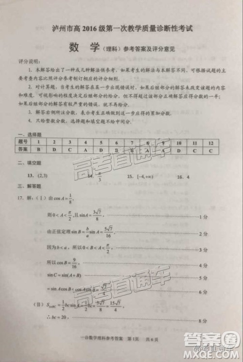 高三泸州一诊​2019届理数试题及参考答案