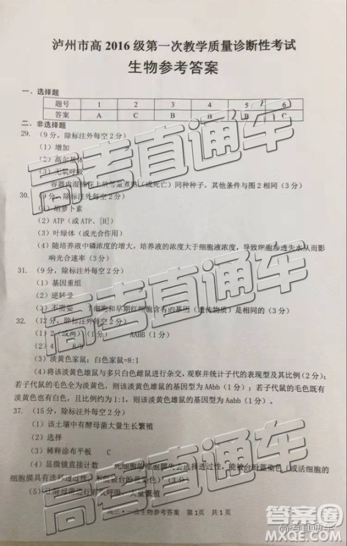 2019年泸州市高三一诊2016级理综参考答案