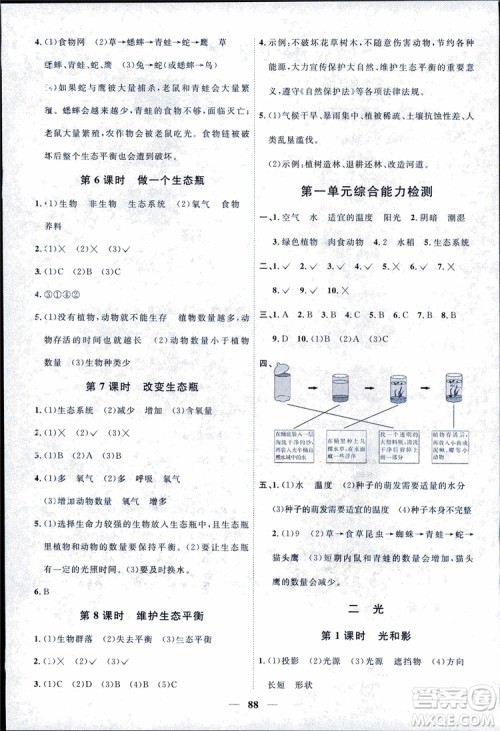 9787539295008阳光同学五年级上册科学教科版2018课时优化作业参考答案