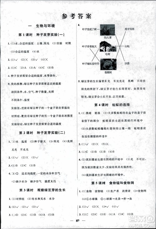 9787539295008阳光同学五年级上册科学教科版2018课时优化作业参考答案