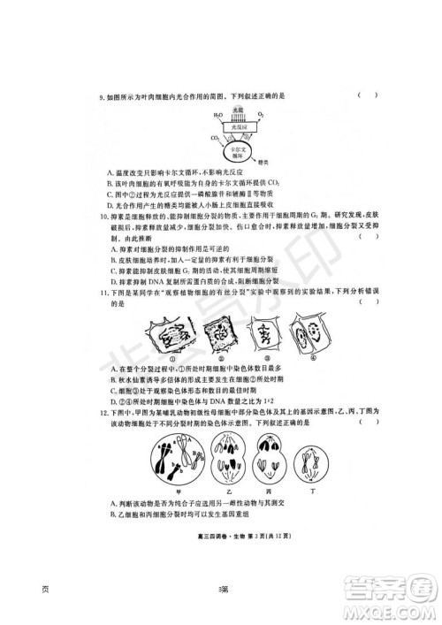 2019届河北省衡水中学高三上学期四调考试生物试题及答案 2019届河北省衡水中学高三上学期四调考试生物试题及答案