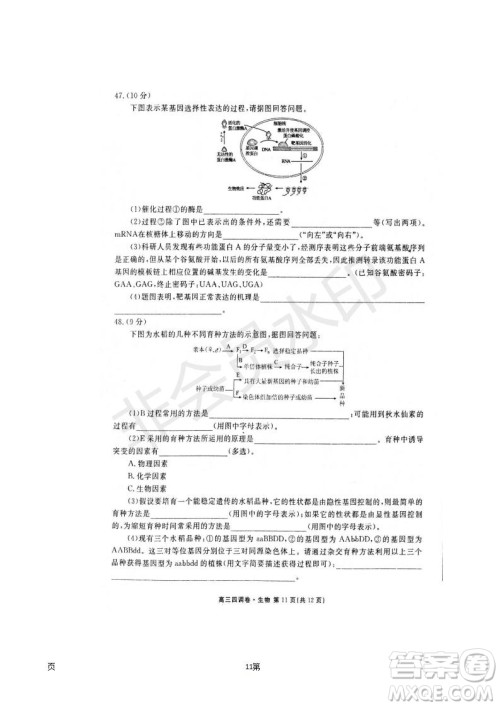 2019届河北省衡水中学高三上学期四调考试生物试题及答案 2019届河北省衡水中学高三上学期四调考试生物试题及答案