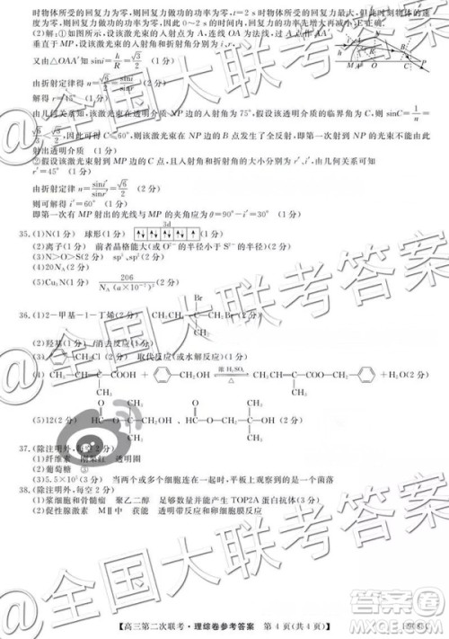 2019贵州遵义市第四教育集团高三第二次联考理科综合参考答案