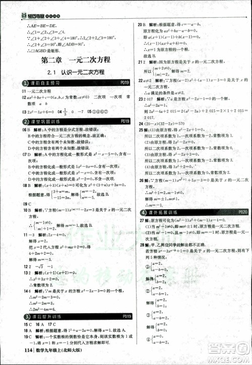 北师大版2019版1+1轻巧夺冠优化训练9年级数学参考答案