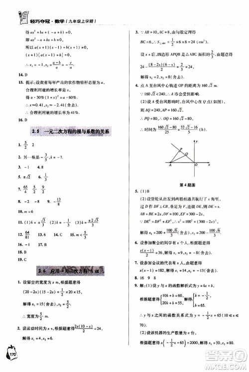 2018年轻巧夺冠九年级上学期数学青岛专用参考答案