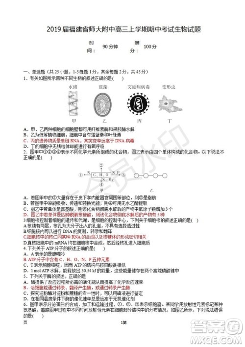 2019届福建省师大附中高三上学期期中考试生物试题及答案 2019届福建省师大附中高三上学期期中考试生物试题及答案