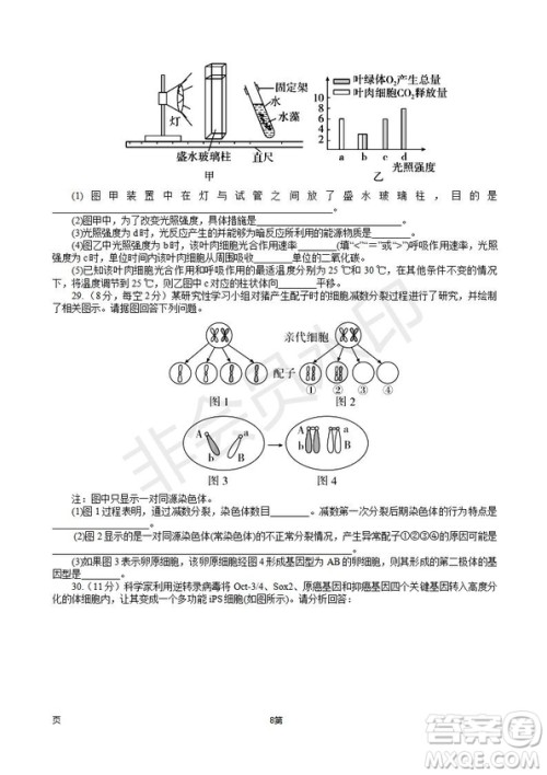 2019届福建省师大附中高三上学期期中考试生物试题及答案 2019届福建省师大附中高三上学期期中考试生物试题及答案