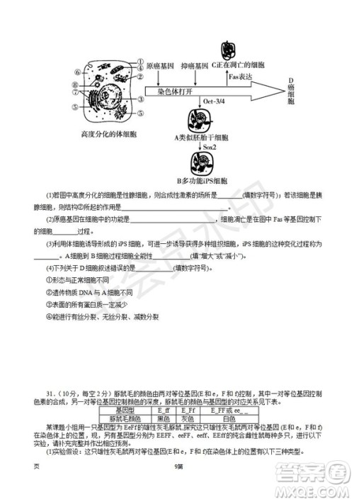 2019届福建省师大附中高三上学期期中考试生物试题及答案 2019届福建省师大附中高三上学期期中考试生物试题及答案