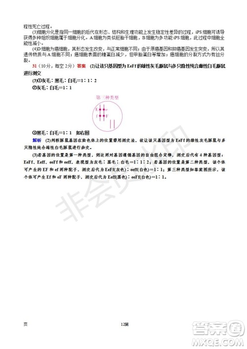 2019届福建省师大附中高三上学期期中考试生物试题及答案 2019届福建省师大附中高三上学期期中考试生物试题及答案