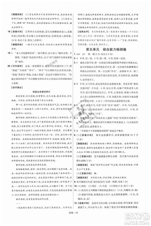 9787565128059天星教育2019版一遍过七年级上语文RJ版人教版参考答案