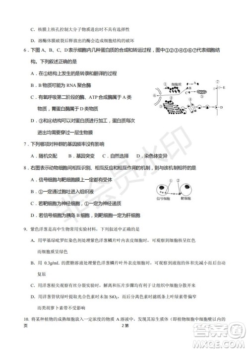 2019届福建省厦门外国语学校高三11月月考生物试题及答案