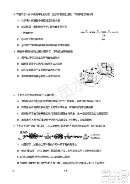 2019届福建省厦门外国语学校高三11月月考生物试题及答案