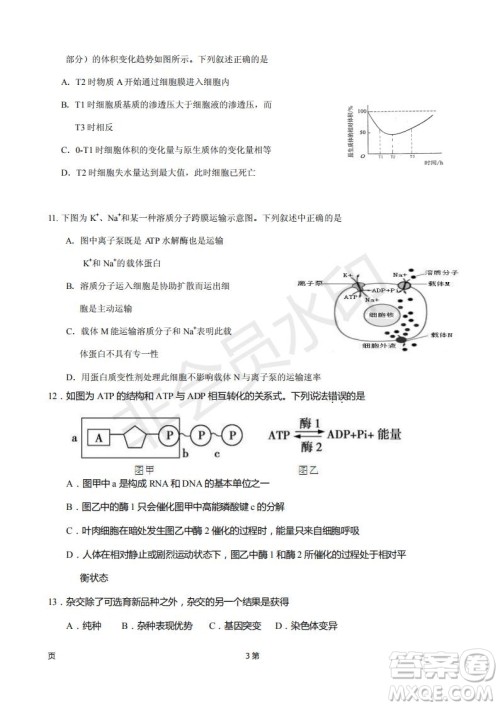 2019届福建省厦门外国语学校高三11月月考生物试题及答案