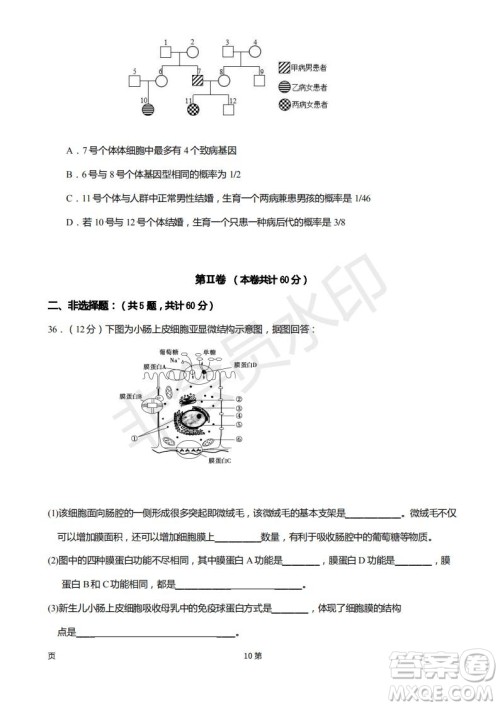 2019届福建省厦门外国语学校高三11月月考生物试题及答案