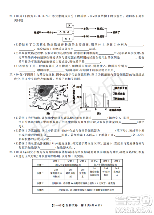 安徽皖东名校联盟2019年高三上学期第二次联考生物试题及答案解析