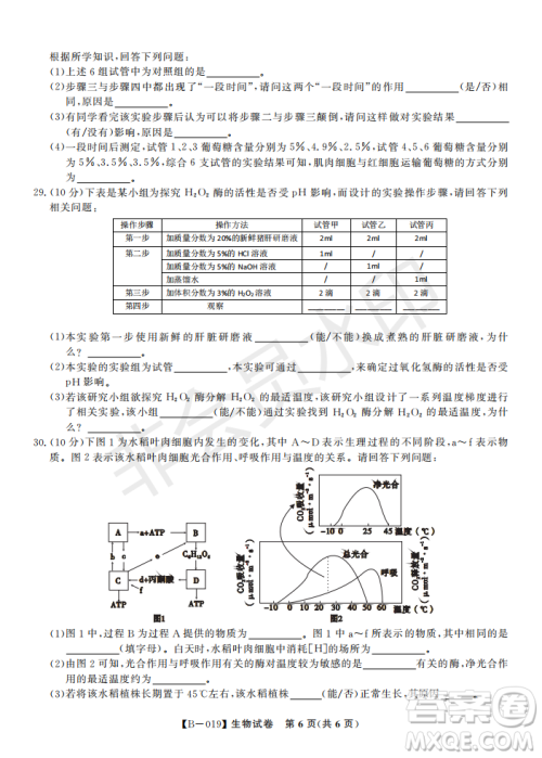 安徽皖东名校联盟2019年高三上学期第二次联考生物试题及答案解析 安徽皖东名校联盟2019年高三上学期第二次联考生物试题及答案解析
