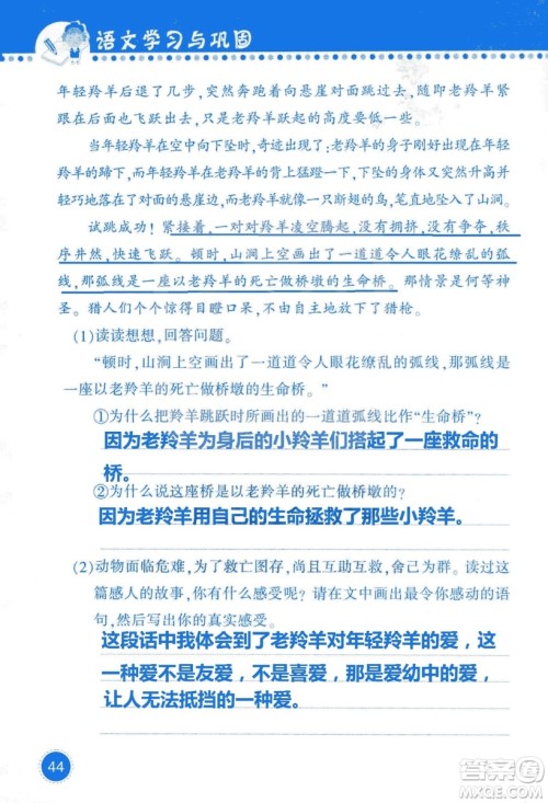 2018年语文学习与巩固西师大版三年级上册参考答案 2018年语文学习与巩固西师大版三年级上册参考答案