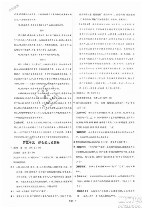 9787565128097天星教育2019版初中一遍过八年级上语文RJ版人教版参考答案 9787565128097天星教育2019版初中一遍过八年级上语文RJ版人教版参考答案