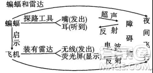 西南名校联盟2019届高三上学期第三次高考适应性考试语文试题答案