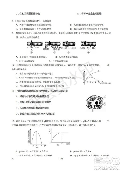 2019届甘肃省静宁县第一中学高三上学期第三次模拟考试生物试题及答案 2019届甘肃省静宁县第一中学高三上学期第三次模拟考试生物试题及答案
