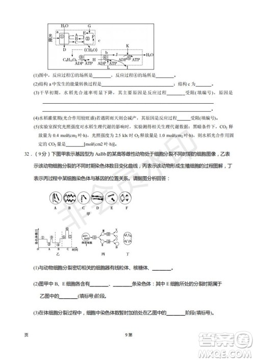 2019届甘肃省静宁县第一中学高三上学期第三次模拟考试生物试题及答案 2019届甘肃省静宁县第一中学高三上学期第三次模拟考试生物试题及答案