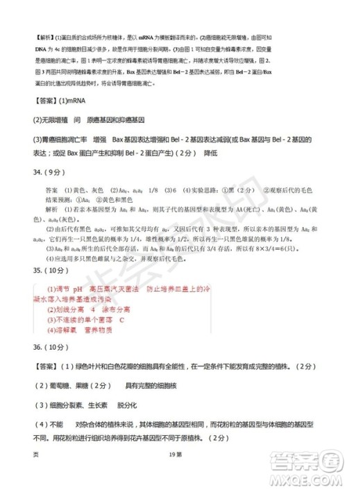 2019届甘肃省静宁县第一中学高三上学期第三次模拟考试生物试题及答案 2019届甘肃省静宁县第一中学高三上学期第三次模拟考试生物试题及答案