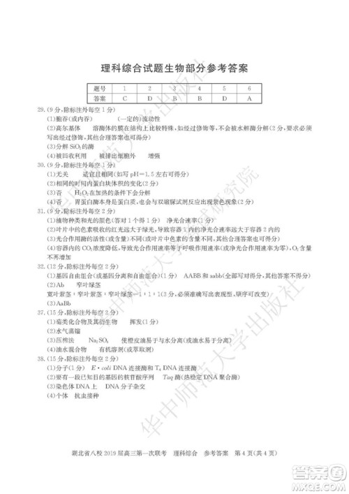 2019届湖北八校联考高三第一次联考试题理综参考答案 2019届湖北八校联考高三第一次联考试题理综参考答案