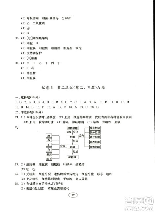 2018秋金钥匙试卷五四制鲁科版六年级上册生物学参考答案