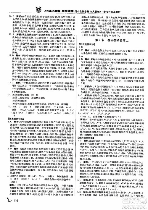 2018新版1+1轻巧夺冠优化训练高中生物必修2人教版参考答案 2018新版1+1轻巧夺冠优化训练高中生物必修2人教版参考答案