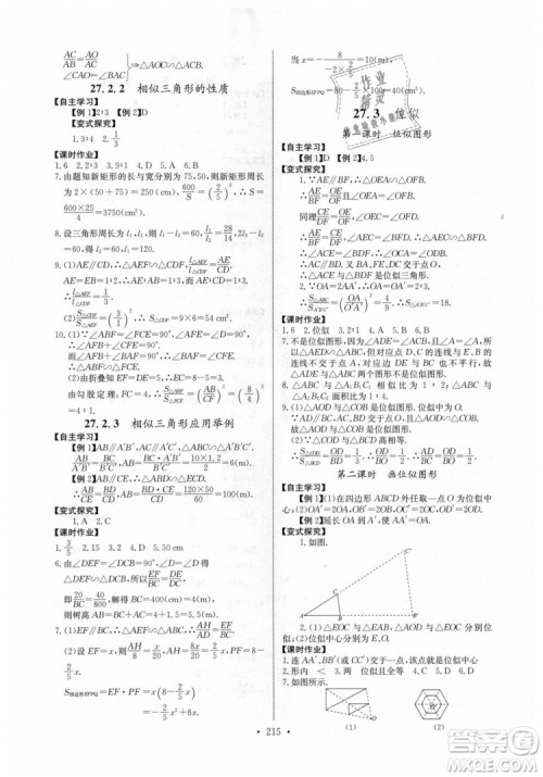 2018年长江全能学案同步练习册九年级全一册人教版参考答案