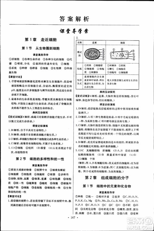 2018年长江全能学案同步练习册生物必修1人教版参考答案 2018年长江全能学案同步练习册生物必修1人教版参考答案