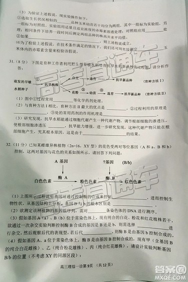 2019南充一诊理综试题及参考答案