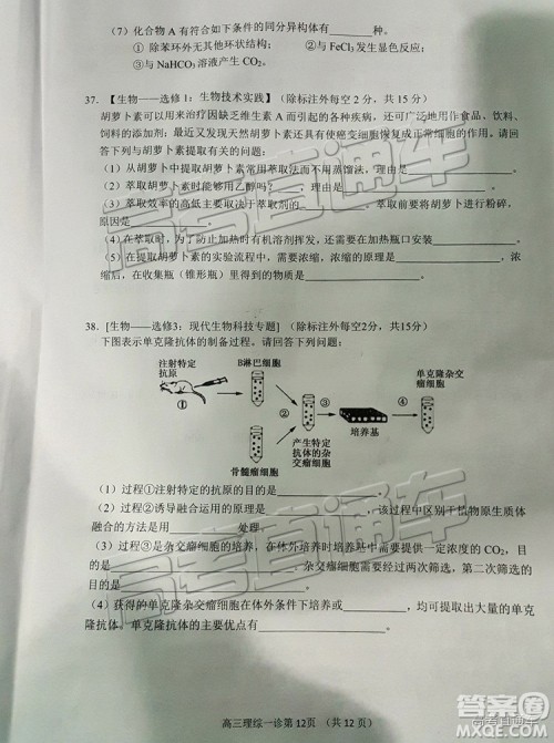 2019南充一诊理综试题及参考答案 2019南充一诊理综试题及参考答案